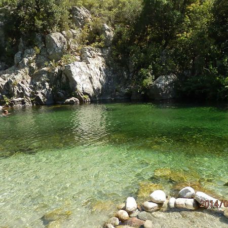 Location Vacances Linguizzetta Екстериор снимка